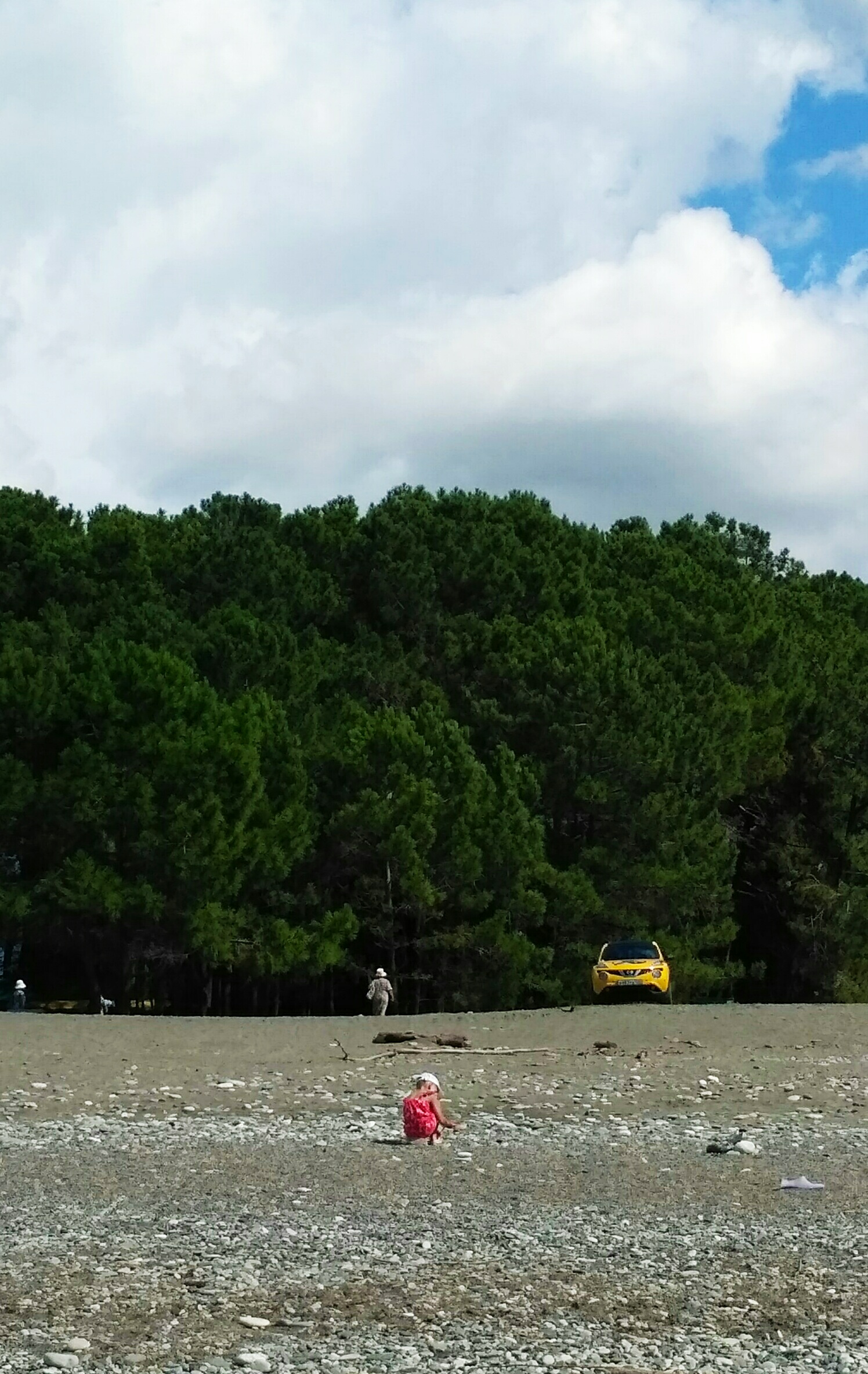 пляж цитрусовый абхазия